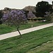Oakwood Memorial Park in Los Angeles, California city