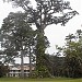 Aburi Botanical Gardens