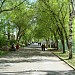 Летний сад им. М. Горького в городе Ижевск