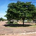 Praça Domingos Denoni Filho na Unaí city