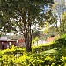 Praça Américo de Souza Matos na Unaí city