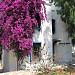 Flama Tours in Bodrum city