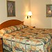 Best Western Tampa in Tampa, Florida city