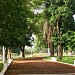Praça do Cruzeiro na Pederneiras city