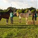 FAPIJA / Escola Agrícola de Jacareí na Jacareí city