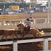 FAPIJA / Escola Agrícola de Jacareí na Jacareí city