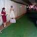 MOONLIGHT DECORATIONS Ramnagar Cell - 09425243864 in Bhilai city
