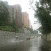 El Bosque en la ciudad de Distrito Metropolitano de San Francisco de Quito