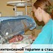 Областная детская клиническая больница в городе Челябинск