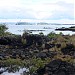 Rangitoto Island