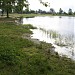 Озеро Первое в городе Кулой
