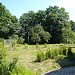 Garten An den Teichen 21 in Stadt Dresden