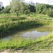 Заросший пруд в пойме реки Чермянки (ru) in Moscow city