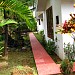 Liana Joselal in Kozhikode city