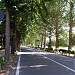 Park Cascine we Florencji (pl) in Florence city