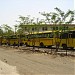 national public school in Indore city