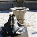 Фонтанът с жабките in Стара Загора city