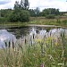 Пруд в городе Долгопрудный