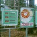 Летний лагерь 