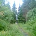 Летний лагерь 