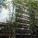Masimar Building  in Montevideo city