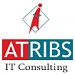 ATRIBS SOFTWARE SYSTEMS in Chennai city