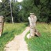 Бывшая деревянная детская площадка в городе Москва