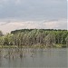 Новообразовавшийся пруд в городе Домодедово