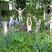 Jardin-musée de la Luna Rossa dans la ville de Caen