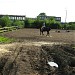 Неиспользуемая конная площадка в городе Вологда