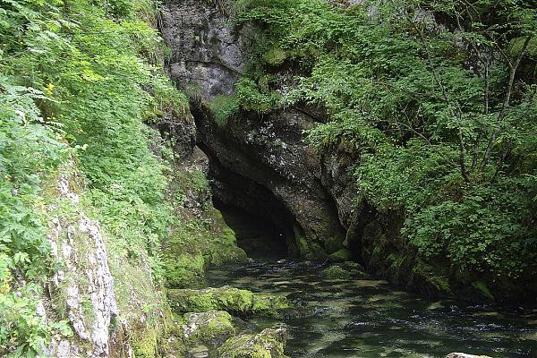Quelle des Doubs