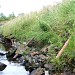 Ballyrobert Local Landscape Policy Area-Lisnalinchy Burn