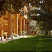 Holy Spirit University of Kaslik (USEK) in Jounieh city