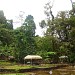 Tinuy-an Falls in Bislig city
