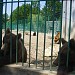 Grădina Zoologică în Piteşti oraş