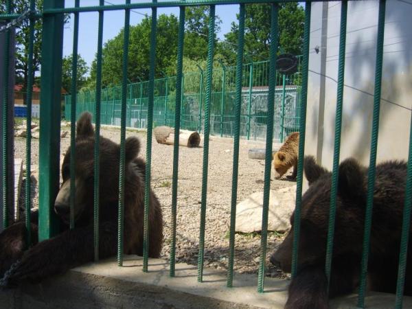 Grădina Zoologică Pitesti