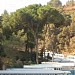 Stationnement des Bus Ecoliers in Ain Toura city