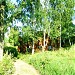 Заброшенная водокачка в городе Александров