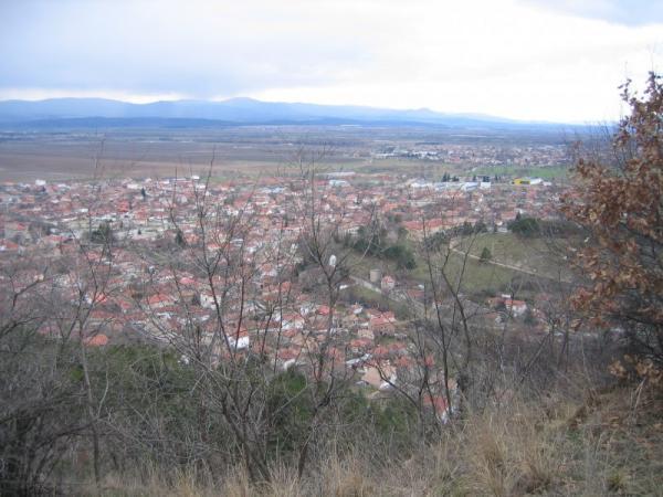 Enina
