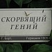 Бронзовая скульптура «Скорбящий гений» в городе Архангельское