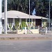 Habib Bank Ltd. (Gol Bank) in Larkana city