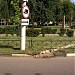 Сквер Строителей в городе Долгопрудный