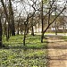 Padurea Verde în Timişoara oraş