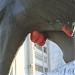 Памятник символу города Энгельса «Бык-солевоз» в городе Энгельс