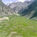 Ghola