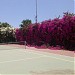 Теннисный корт (ru) in Ayia Napa city