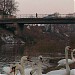 Tilts pār Laucesas upi in Daugavpils city