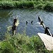 Старая плотина в городе Жуковский