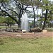 Ala Wai Fountain