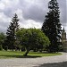 Politekhnichnyi Park in Kyiv city